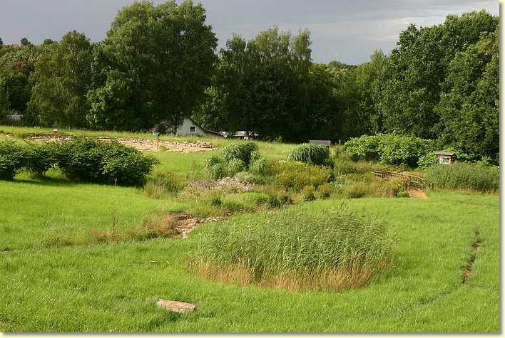 2009-07-19-0127.jpg
