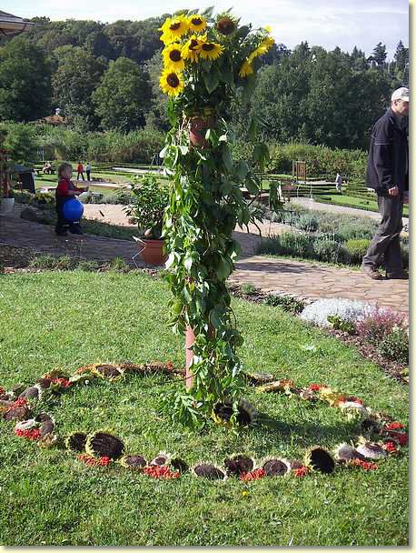 2009-09-13-0488.jpg