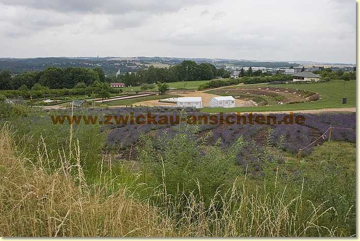 2010-07-18-CRW_1922.jpg