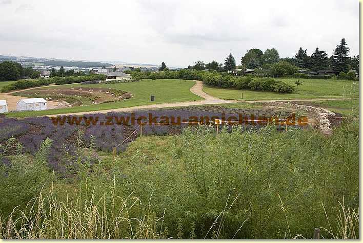 2010-07-18-CRW_1923.jpg