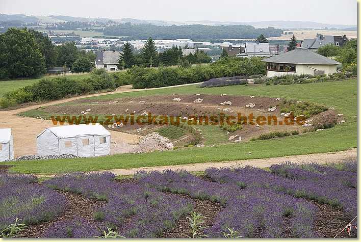2010-07-18-CRW_1924.jpg