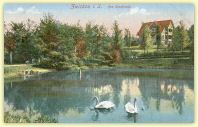 2-teich.jpg