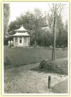 Unbenannt-11.jpg