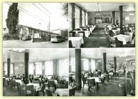 2008-06-10-2288.jpg
