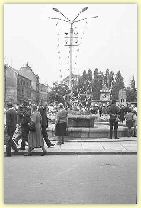 File1016.jpg