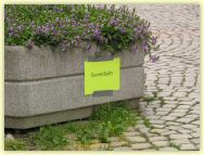 2008-07-12-7207-g5.jpg
