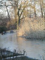 218_1781g5.JPG