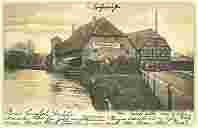2008-05-30-1955.jpg