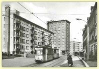 2008-06-10-2311.jpg