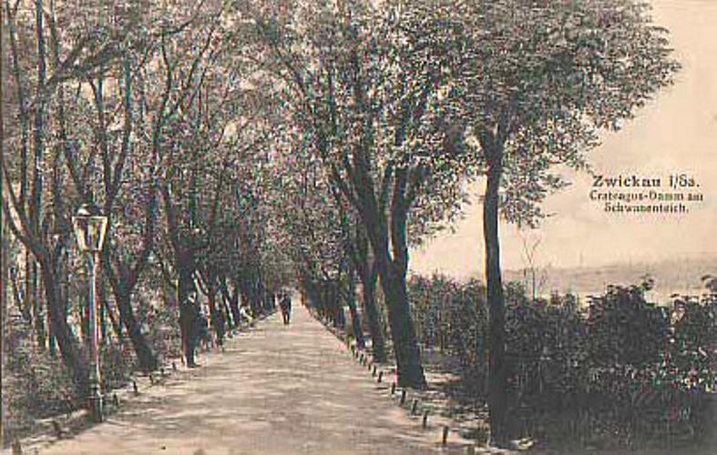 n123424.jpg