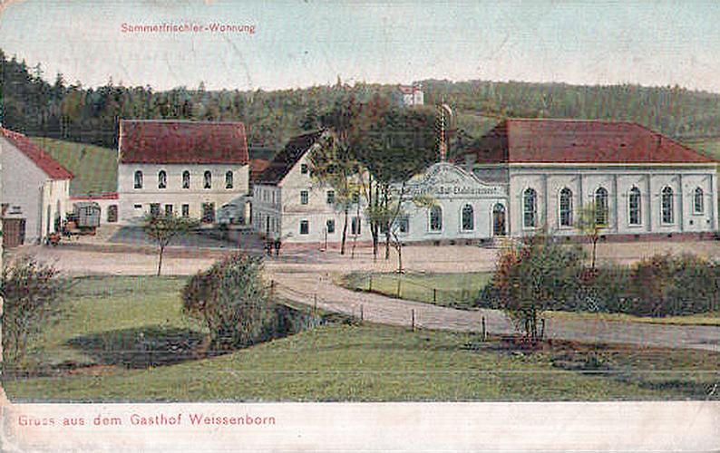 n241966.jpg