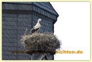2010-06-21-CRW_1406-A.jpg