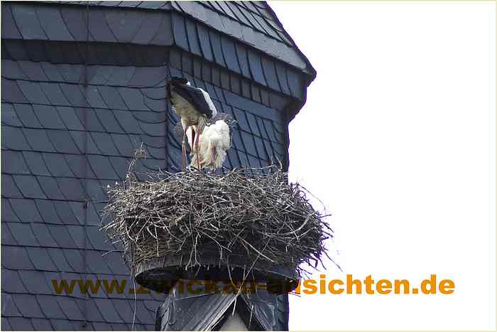 2010-06-21-CRW_1407-B-A.jpg