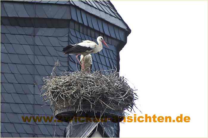 2010-06-21-CRW_1408-A.jpg
