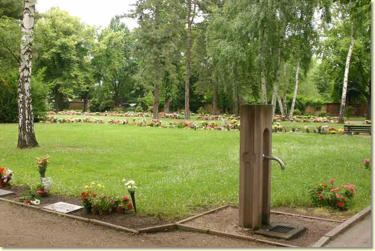2008-06-14-8170.jpg