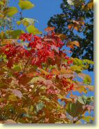 2012-10-04-DSC01319.jpg