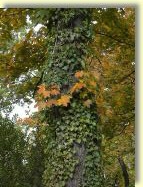 2012-10-15-DSC01335.jpg