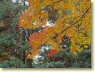 2012-10-15-DSC01353.jpg