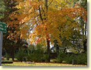 2012-10-15-DSC01365.jpg