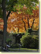 2012-10-22-DSC01437.jpg