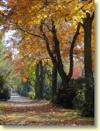 2012-10-22-DSC01439.jpg