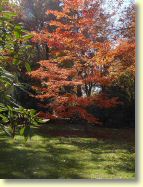2012-10-22-DSC01442.jpg