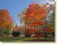 2012-10-22-DSC01443.jpg