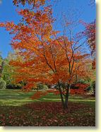 2012-10-22-DSC01444.jpg