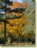 2012-10-22-DSC01456.jpg
