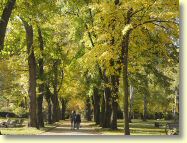 2012-10-22-DSC01458.jpg