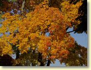 2012-10-22-DSC01459.jpg