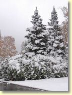 2012-10-28-DSC01505.jpg