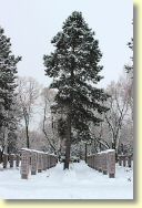 2013-02-25-IMG_1197.jpg