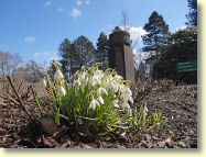 2013-04-08-DSC02253.jpg