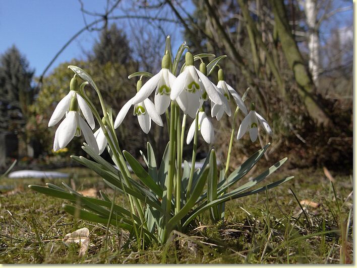 2013-04-08-DSC02270.jpg