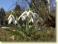 2013-04-08-DSC02270.jpg