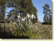 2013-04-08-DSC02272.jpg