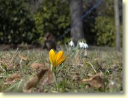 2013-04-08-DSC02274.jpg