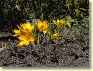 2013-04-08-DSC02282.jpg