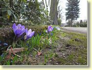 2013-04-15-DSC02404.jpg