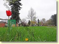 2013-05-02-DSC02649.jpg