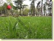 2013-05-02-DSC02674.jpg