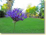 2013-05-21-DSC03002.jpg