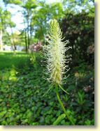 2013-06-07-DSC03357.jpg