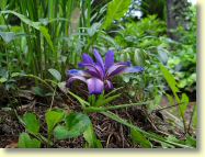 2013-06-17-DSC03434.jpg