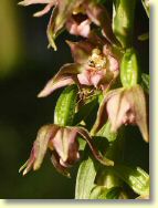 2009-07-10-9877-B.jpg