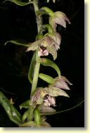 2009-07-12-9925-B.jpg