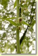2009-07-12-9928-B.jpg