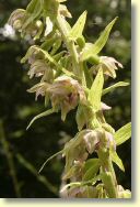 2009-07-12-9939-B.jpg