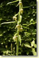 2009-07-12-9941-B.jpg